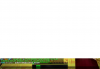 2019-10-11_12.40.03.png