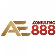 ae888consulting9