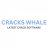 crackswhale