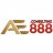 ae888consulting9